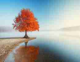 智​能‍关‍键‍词‌研‍究​方‍法‌是‌什‍么‍